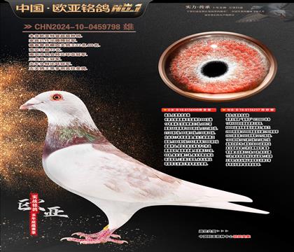 �Ͽ�.���ǲ���ԭ��440X237