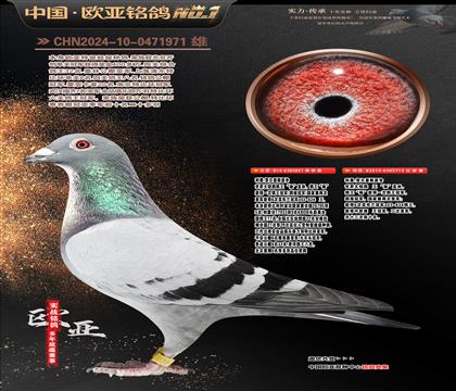 ���Wԭ�Შ��5��851X��ֱ�OŮ713