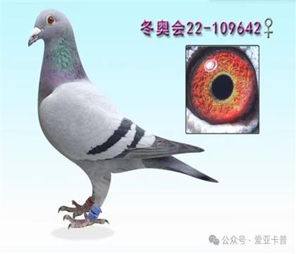 �����S�����OŮ642