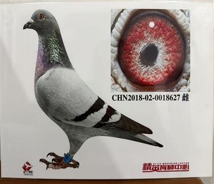 �W(li��n)240 ���H��Ѫֱ�OŮ627