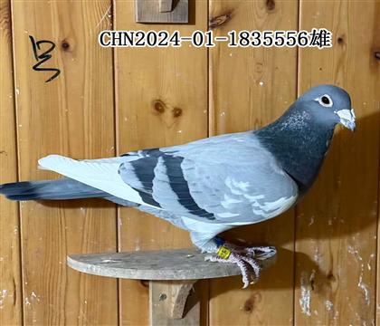 ����o��X���ǲ������_���������Mվ ���M��