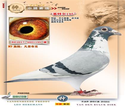 4-���ǲ���+���ؠ����H