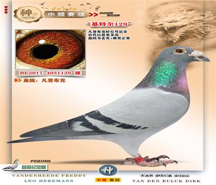 5-���ǲ���129