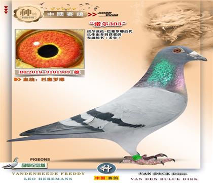 6-�Z���ɂ�