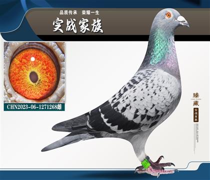 ������.��(y��u)��˹��������塱