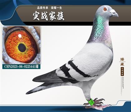 �L�̾��x���-����ϵ-��ƿ�