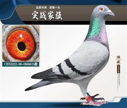 15�ι���ǰ10 ������ 615��