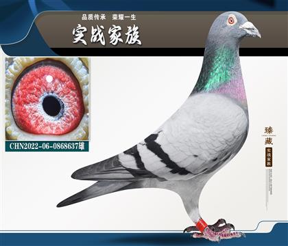 15�ι���ǰ10 7�ΛQِǰʮ