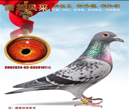 �й�KBDBֱ��107