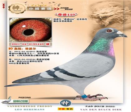 7-�ֲ���449+���E���H