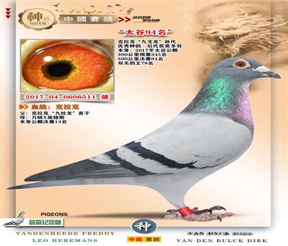 8-��������+�����ˌO��