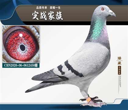 �x�h�ش���_��62