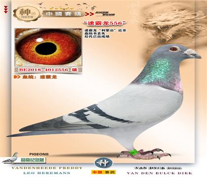 9-�ٰ��������ν��H��