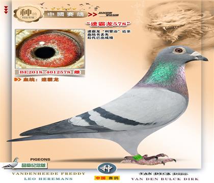 10-�ٰ��������ν��H��