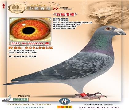 11-ղɭԭ���Ӵ�+ʯ������