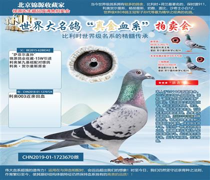 ���_�Ơ�ֱ�O��X���W003���H19-1723670��