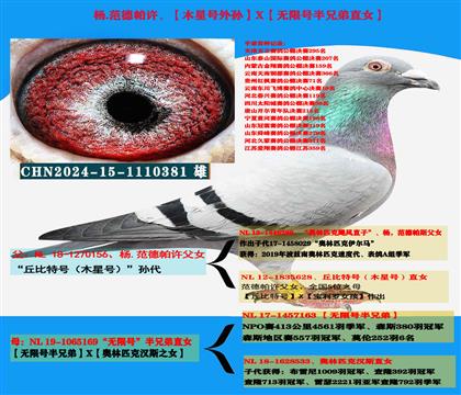 杨,范德帕许“木星号外孙”X“无限号半兄弟直女”