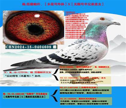 (重点推荐)杨范德帕许“丘比特号外孙”X“无限号半兄弟直女”