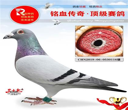 ������ҵ�������������671��