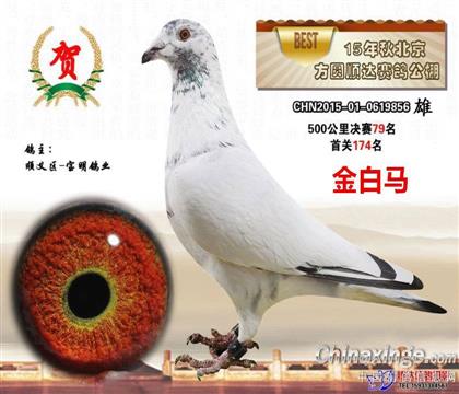 ��������������79��