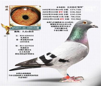 ����ۺϵ��������Xղɭ