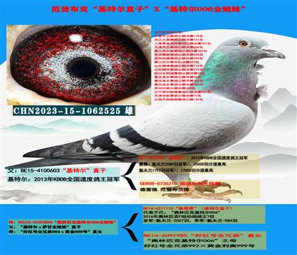 (重点推荐)“基特尔”直子X“基特尔006”全姐妹