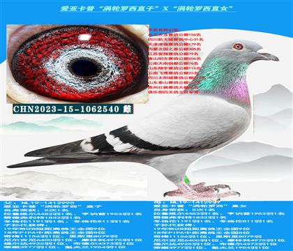 (重点推荐)爱亚卡普“涡轮罗西直子”X“涡轮罗西直女”