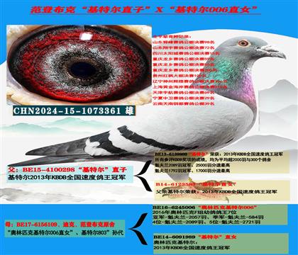 (重点推荐)范登布克“基特尔”直子X“基特尔006”直女