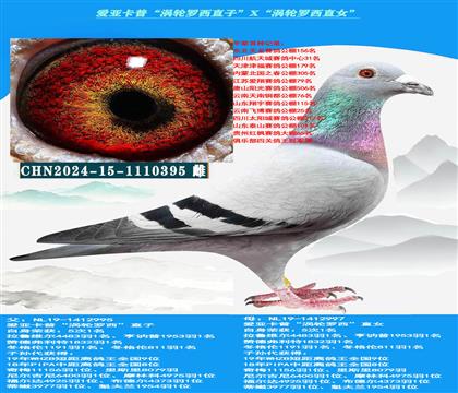 (重点推荐)爱亚卡普“涡轮罗西直子”X“涡轮罗西直女”