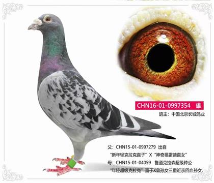 ���ǣ����ᳬ��������354