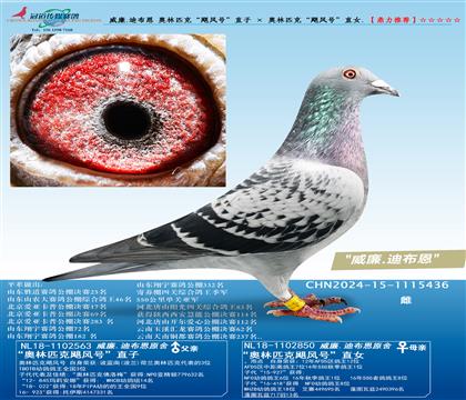 ����.�ϲ��� ����ƥ�ˡ�쫷�š�ֱ�� �� ����ƥ�ˡ�쫷�š�