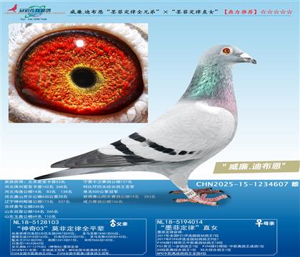 ����.�ϲ�����ī�ƶ���ȫ�ֵܡ�����ī�ƶ���ֱŮ��