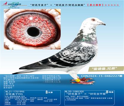 ���û���ֱ�ӡ������û�ֱ��/�û�ȫ���á�