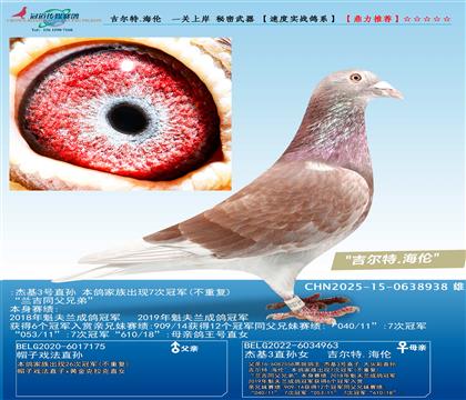 ������.����  һ���ϰ� ��������