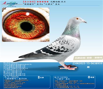 ���ڲ���-���� ������ҫ�š�ֱ��x��С����ֱŮ