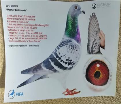 ��������С����ȫ�ֵ�