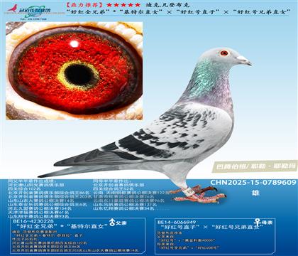 ���ú�ȫ�ֵܡ�/�����ض�ֱŮ�������ú��ֱ�ӡ�/���ú���ֵ�