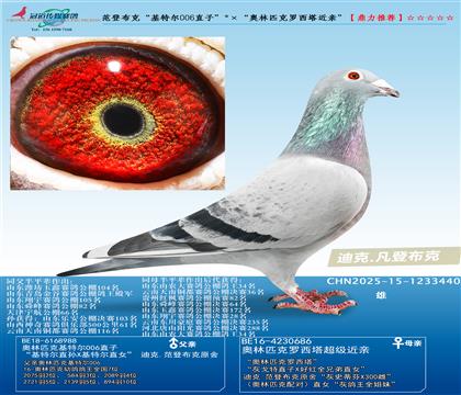 �����ض�006ֱ�ӡ���������ƥ�����������ס�