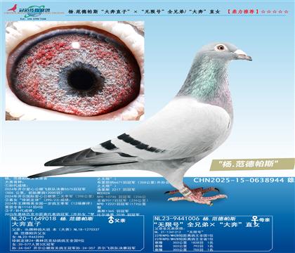 ��.������˹����ֱ�ӡ��������޺š�ȫ�ֵ�/���󱼡�ֱŮ