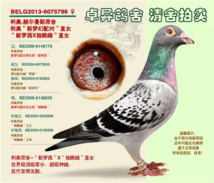 ���Wԭ�ᡰ���_����(d��)�۴ơ�ֱŮ