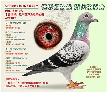 ���W���S���䌦���Qِ19��