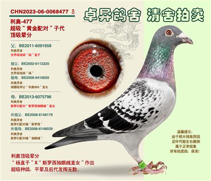 ���W���S���䌦���Ӵ�