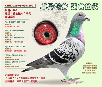 ���W���S���䌦���Ӵ�