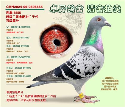 ���W���S���䌦���Ӵ�5555