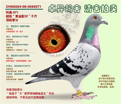 ���W���S���䌦���Ӵ�