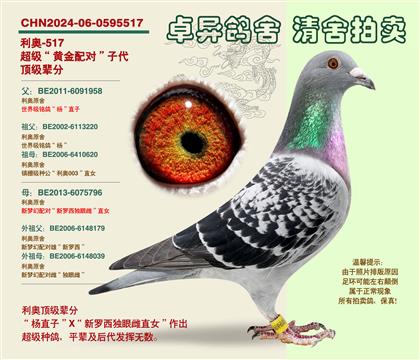 ���W���S���䌦���Ӵ�