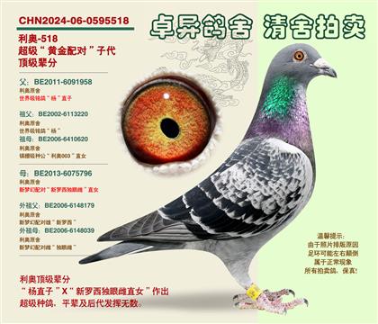 ���W���S���䌦���Ӵ�