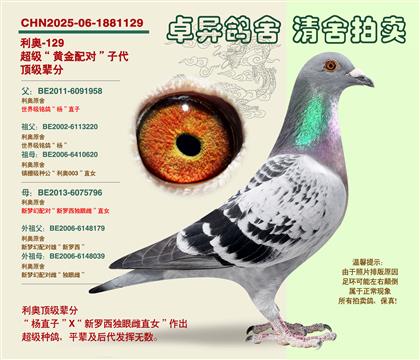 ���W���S���䌦���Ӵ�