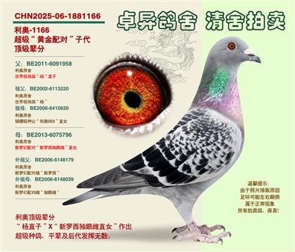 ���W���S���䌦���Ӵ�