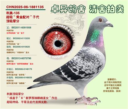 ���W���S���䌦���Ӵ�